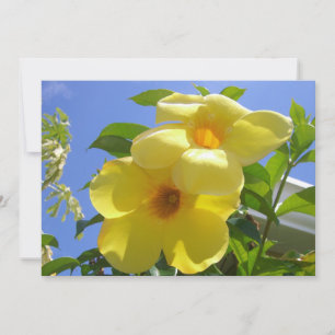 Golden Trumpet Flowers I Card