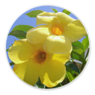 Golden Trumpet Flowers I Ceramic Knob