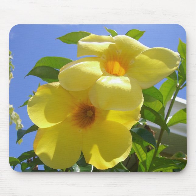 Golden Trumpet Flowers I Mouse Mat (Front)