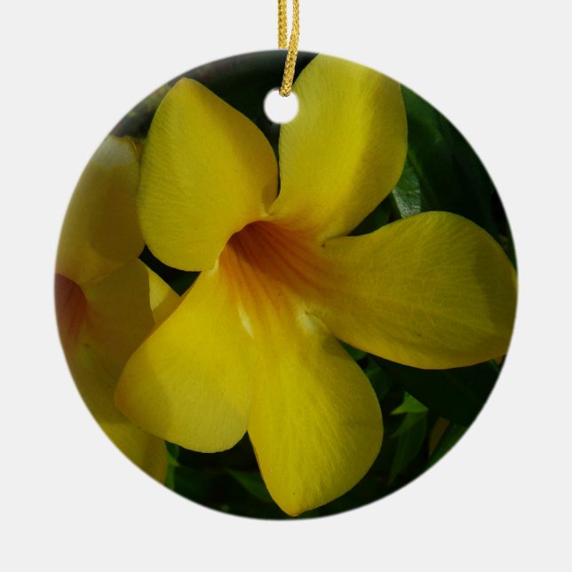 Golden Trumpet Flowers II Tropical Ceramic Tree Decoration (Front)