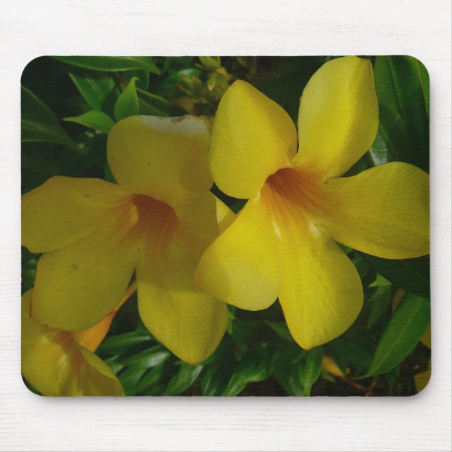 Golden Trumpet Flowers II Tropical Mouse Mat (Front)