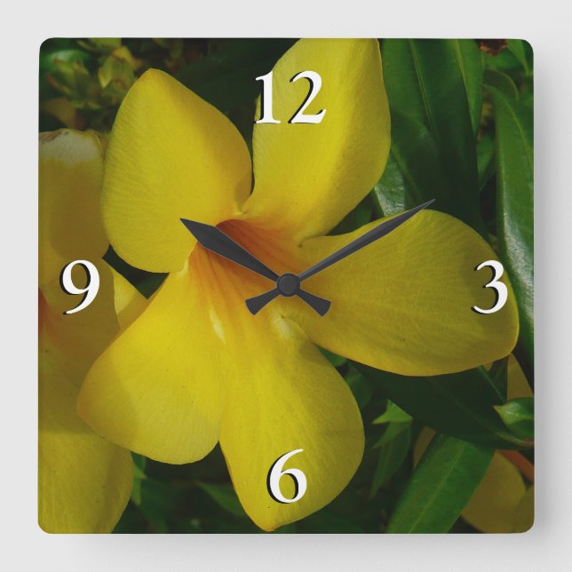 Golden Trumpet Flowers II Tropical Square Wall Clock (Front)