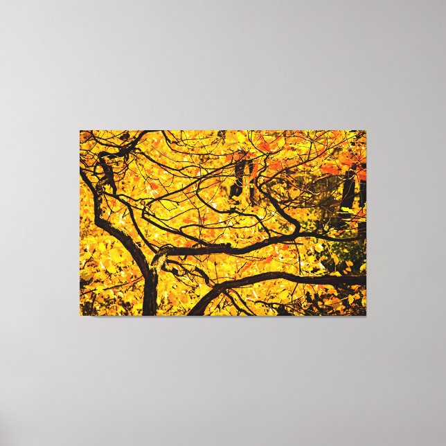Golden Veins Of Autumn Canvas Print (Front)