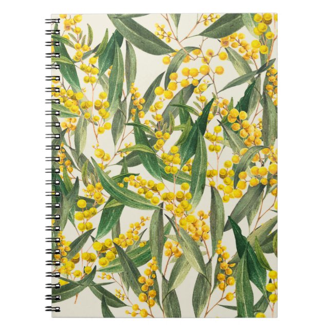 Golden Wattle (Acacia pycnantha) is Australia's na Notebook (Front)