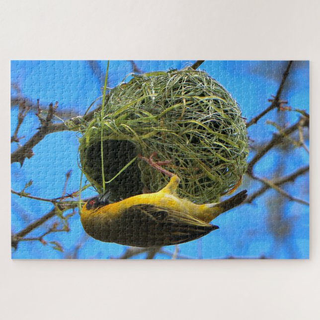 Golden weaver bird, South Africa Jigsaw Puzzle (Horizontal)