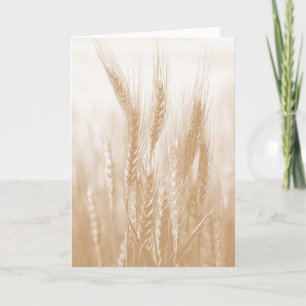 Golden Wheat Card