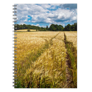 Golden wheat field in autumn light notebook