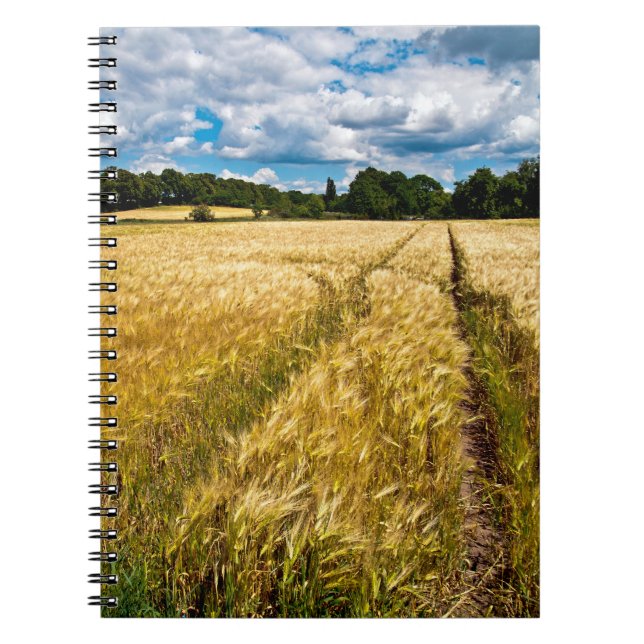 Golden wheat field in autumn light notebook (Front)