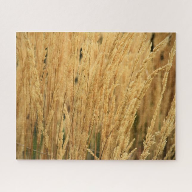Golden Wheat Fields - 16x20 - 520 pcs. Jigsaw Puzzle (Horizontal)