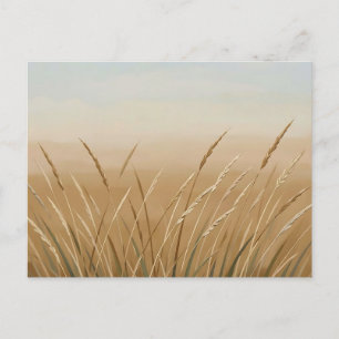 Golden Wheat Grass Serene Landscape Postcard