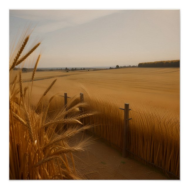 Golden Wheat Path – Rustic Summer Landscape Poster (Front)