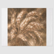 Golden Wheat