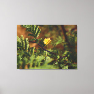 Golden Wild Flower Macro Nature Photography Canvas Print