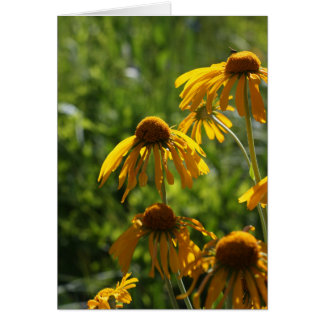 Golden Wildflowers