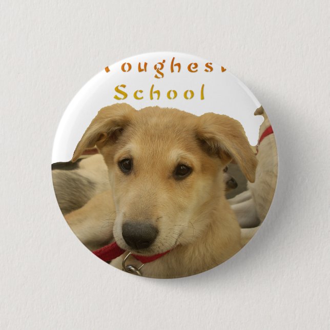 Golden Wisdom: A Dog's-Eye View of Life's School 6 Cm Round Badge (Front)