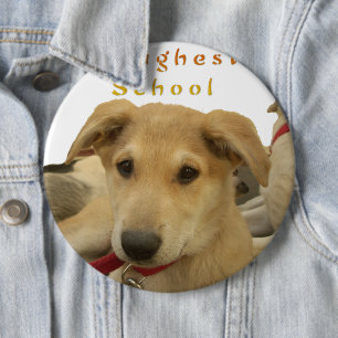 Golden Wisdom: A Dog's-Eye View of Life's School 6 Cm Round Badge