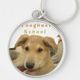 Golden Wisdom: A Dog's-Eye View of Life's School Key Ring