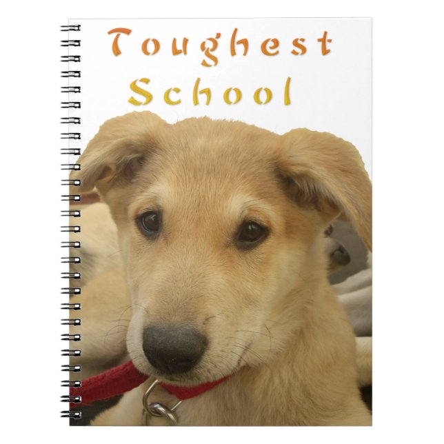 Golden Wisdom: A Dog's-Eye View of Life's School Notebook (Front)
