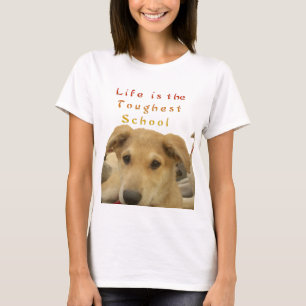 Golden Wisdom: A Dog's-Eye View of Life's School T-Shirt