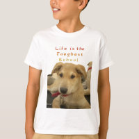 Golden Wisdom: A Dog's-Eye View of Life's School