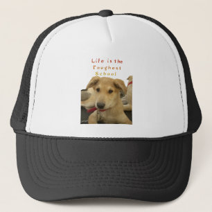 Golden Wisdom: A Dog's-Eye View of Life's School Trucker Hat