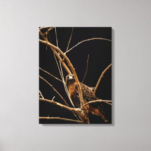 Golden Wrapped Canvas