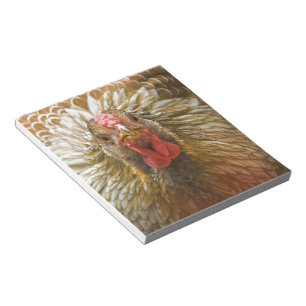 Golden Wynadotte Hen - Beautiful Chickens Notepad