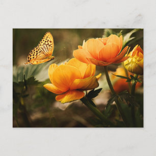 Golden Yellow Butterfly Postcard