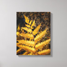Golden Yellow Fern Fall Leaves