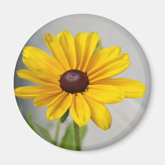 Golden Yellow Flower Magnet (Front)