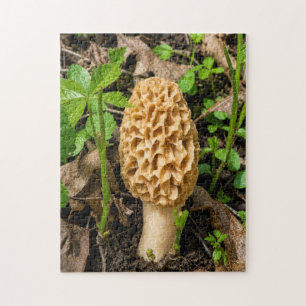 Golden Yellow Morel Mushroom Jigsaw Puzzle
