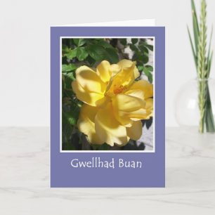 Golden Yellow Rose Get Well Card, Welsh Greeting Card