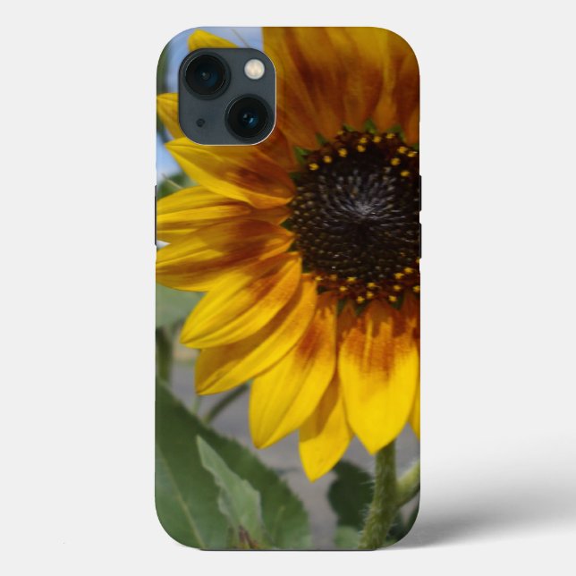 Golden Yellow Sunflower, iPhone 13 Case (Back)