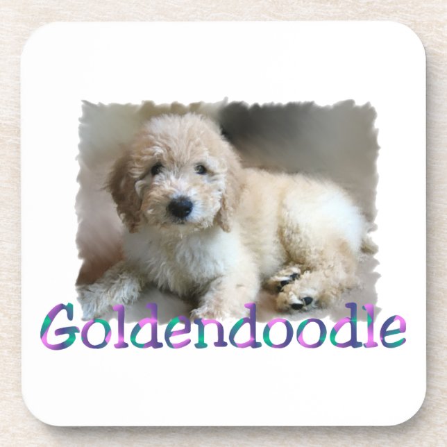 Goldendoodle Art Coaster (Front)