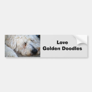 Goldendoodle background bumper sticker