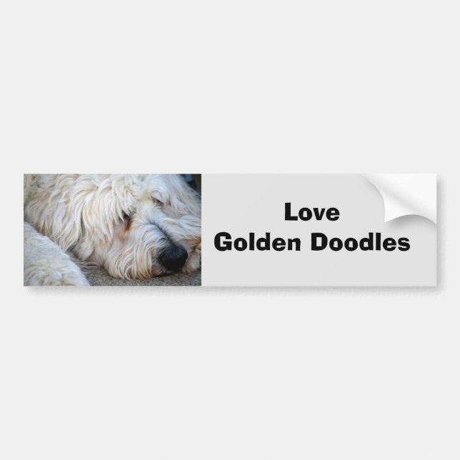Goldendoodle background bumper sticker (Front)