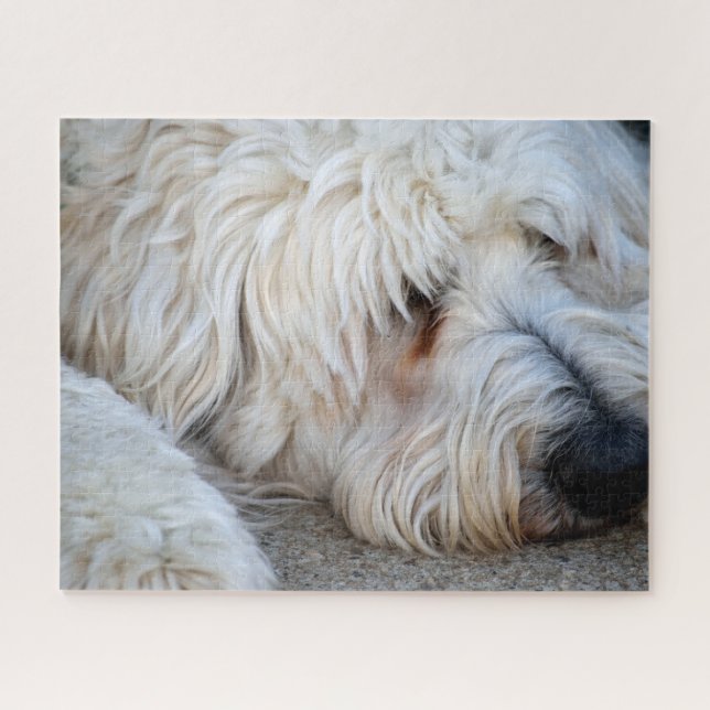 Goldendoodle background jigsaw puzzle (Horizontal)