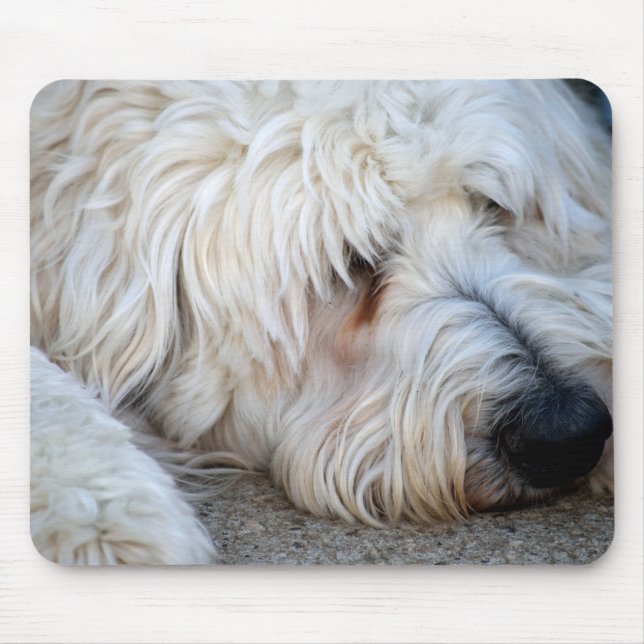 Goldendoodle background mouse mat (Front)