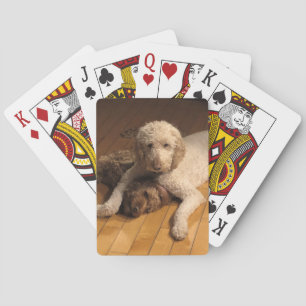 Goldendoodle BFFs Playing Cards