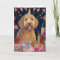 Goldendoodle Birthday