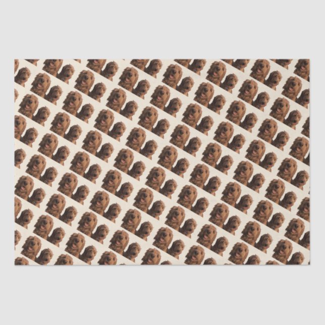 Goldendoodle Brothers Tissue Paper (Front)