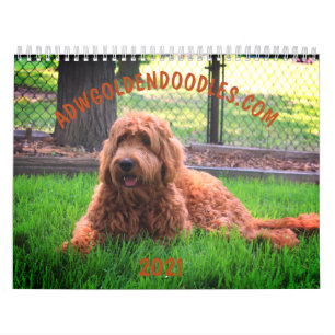 Goldendoodle Calendar