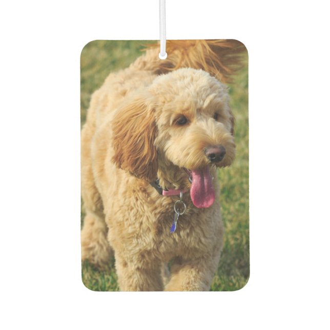 Goldendoodle Car Air Freshener (Front)