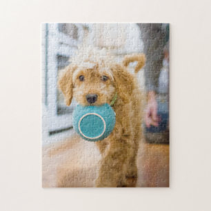 Goldendoodle Carrying Dinner Bowl Jigsaw Puzzle