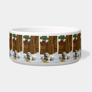 Goldendoodle Christmas 