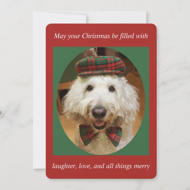 Goldendoodle Christmas card (Front)