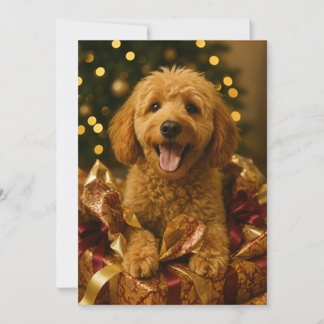 Goldendoodle Christmas Card (Front)