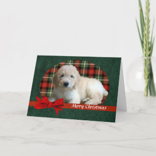 GoldenDoodle Christmas Holiday Customisable