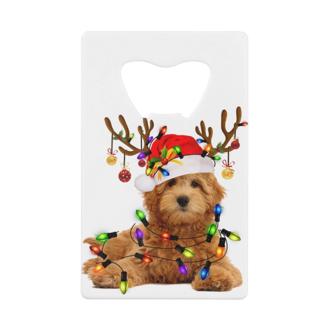 Goldendoodle christmas reindeer christmas lights p (Front)