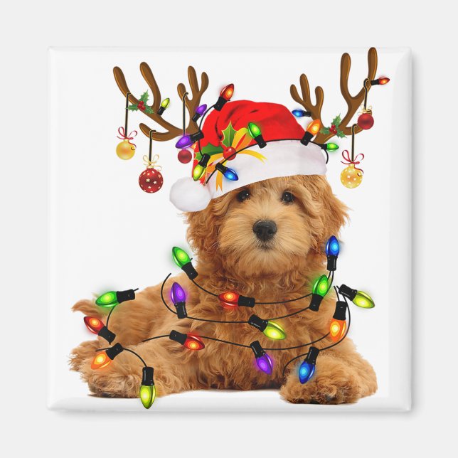 Goldendoodle christmas reindeer christmas lights p magnet (Front)